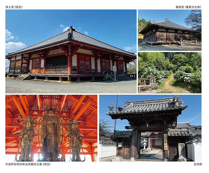 spartect_joudoji_case09 